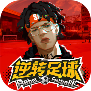 小鸟体育官网入口app
